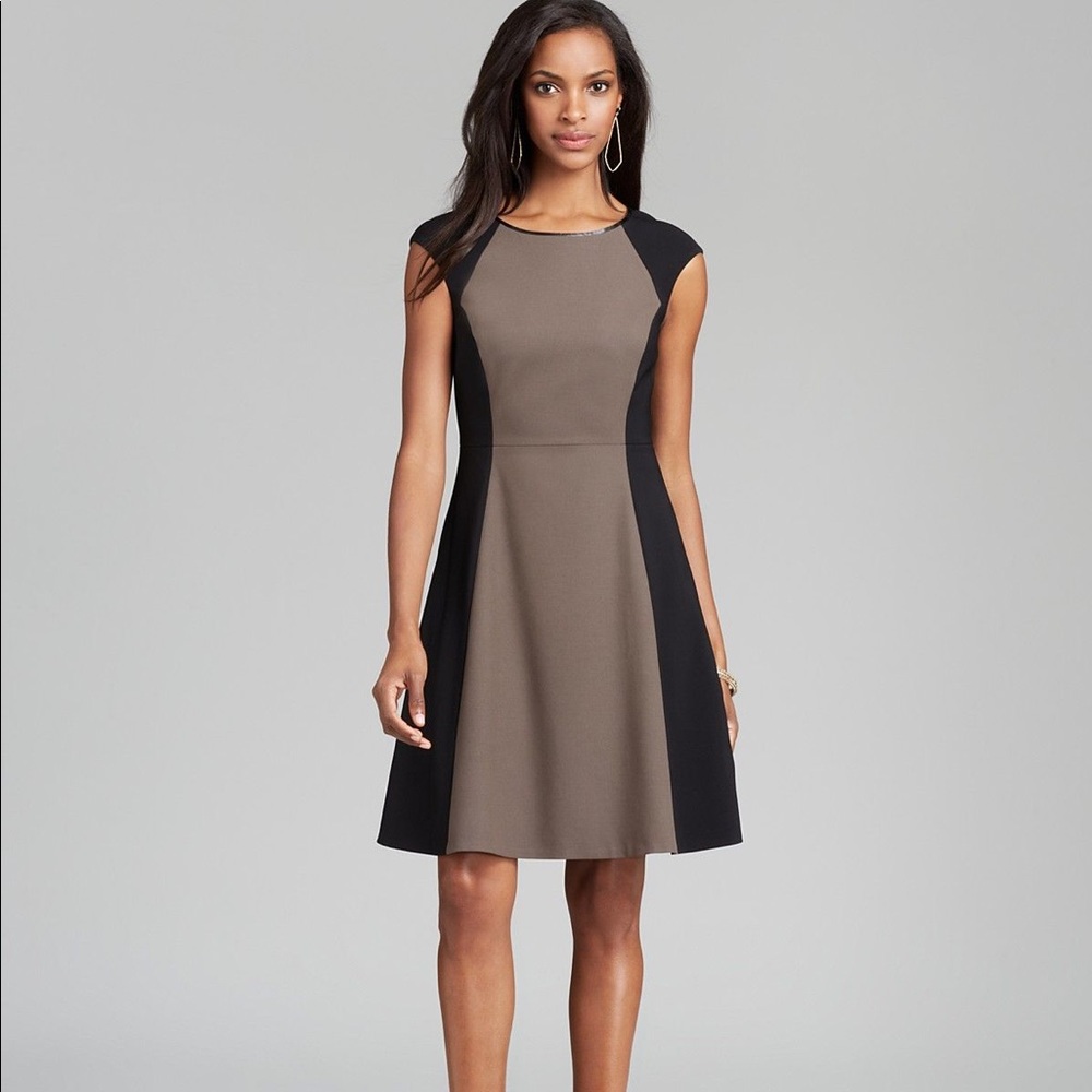 Tahari Colorblock A-Line Dress Sz 4